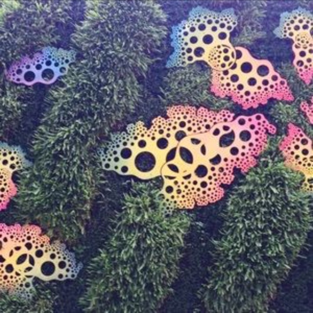 Meet your Posher, MS